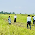 4769546 Untitled 18 Copy.webp.webp