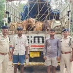 4772060 Untitled 22 Copy.webp.webp