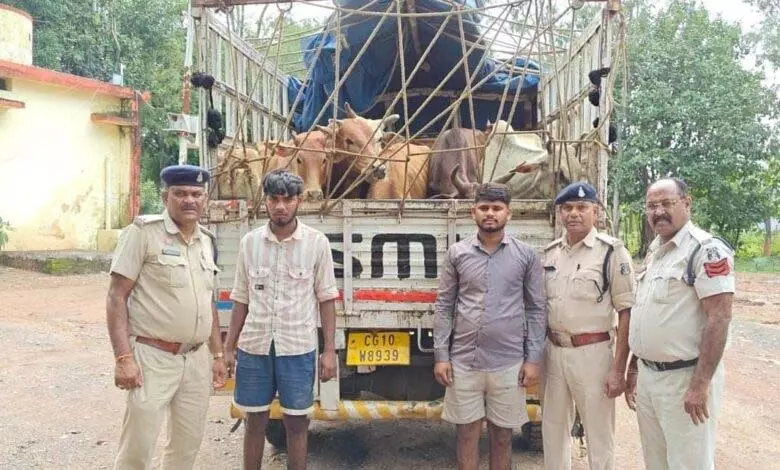 4772060 Untitled 22 Copy.webp.webp