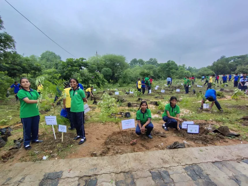 4774296 Untitled 21 Copy.webp.webp