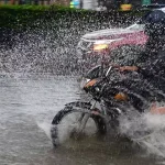 4774381 83.webp.webp