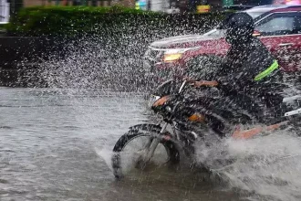 4774381 83.webp.webp