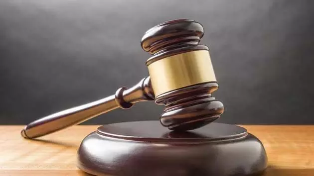 4774503 Untitled 2 Copy.webp.webp