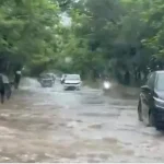 4775474 Untitled 30 Copy.webp.webp