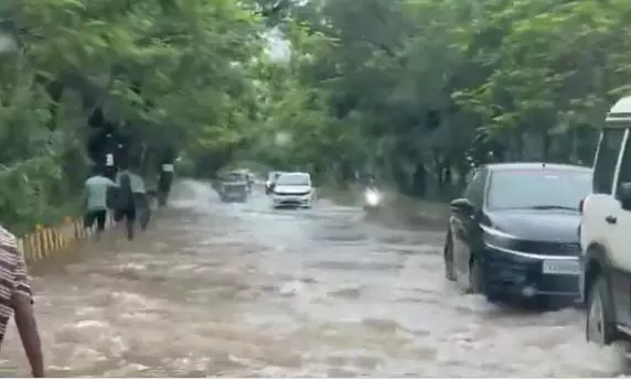 4775474 Untitled 30 Copy.webp.webp