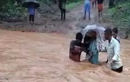 4775991 Untitled 15 Copy.webp.webp