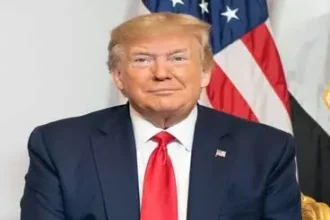 4776651 Untitled 4 Copy.webp.webp