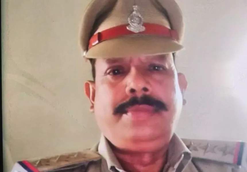 4778071 Untitled 50 Copy.webp.webp