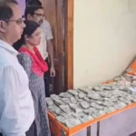 4778720 Untitled 38 Copy.webp.webp