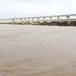 4779230 Untitled 105 Copy.webp.webp