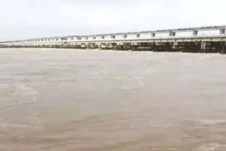 4779230 Untitled 105 Copy.webp.webp