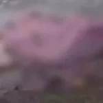 4779846 Untitled 47 Copy.webp.webp