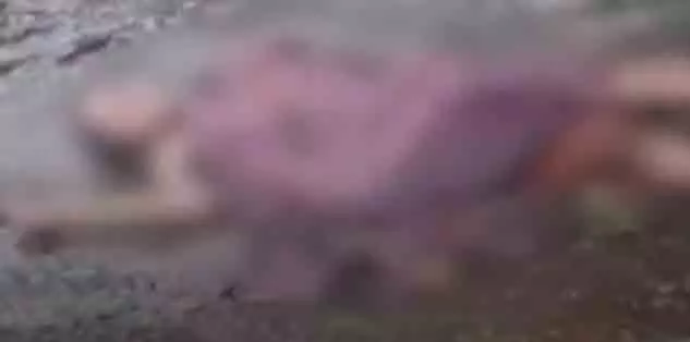 4779846 Untitled 47 Copy.webp.webp