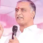 4780635 1 Copy.webp.webp