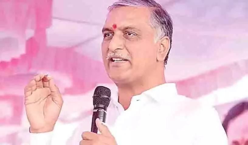 4780635 1 Copy.webp.webp