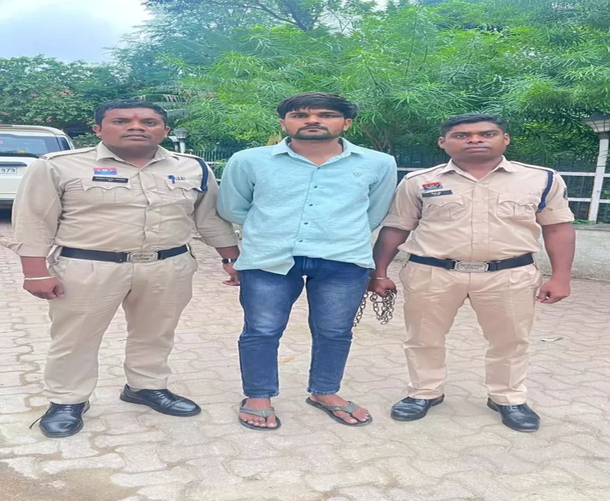 4780947 Untitled 61 Copy.webp.webp