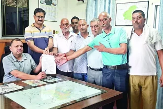 4782598 Untitled 25 Copy.webp.webp