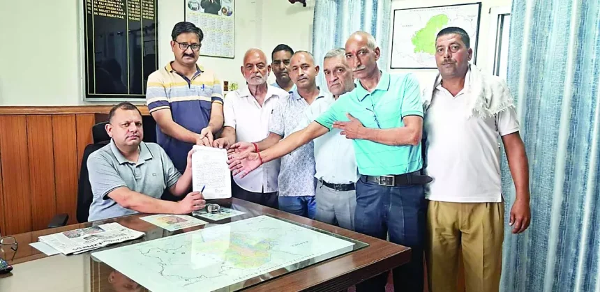 4782598 Untitled 25 Copy.webp.webp