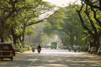 4785083 1 Copy.webp.webp