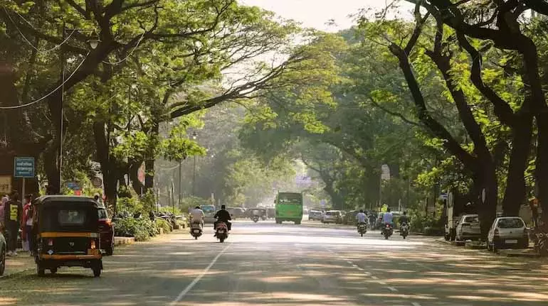 4785083 1 Copy.webp.webp