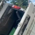 4785234 Untitled 71 Copy.webp.webp