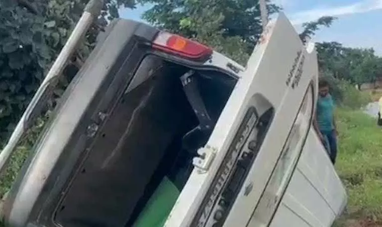 4785234 Untitled 71 Copy.webp.webp