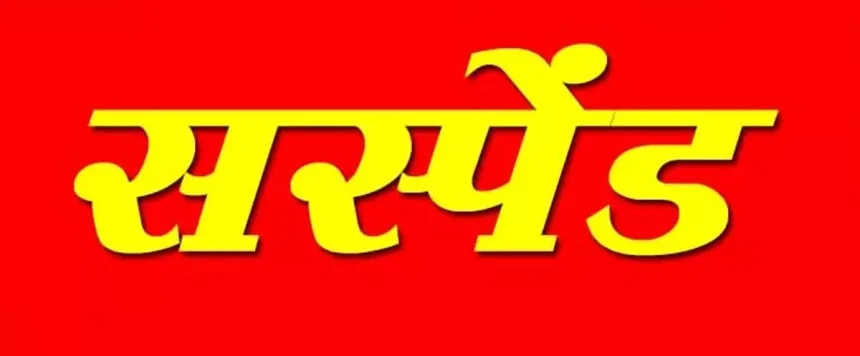 4786276 Untitled 12.webp.webp