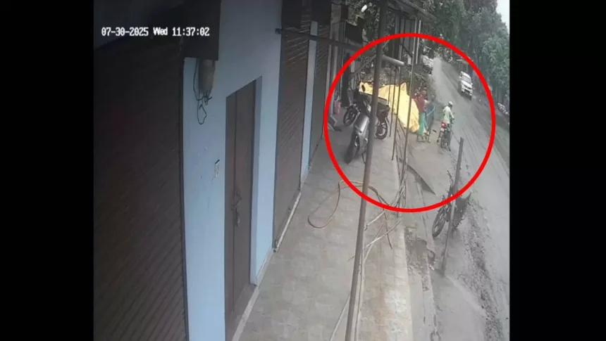 4787223 Untitled 61 Copy.webp.webp