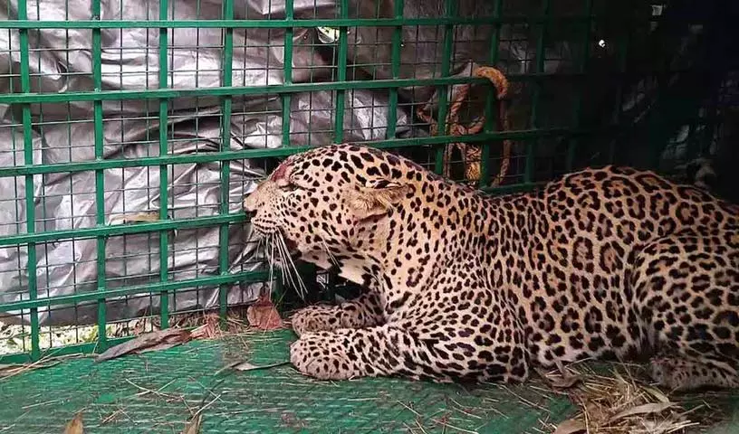 4788485 1 Copy.webp.webp