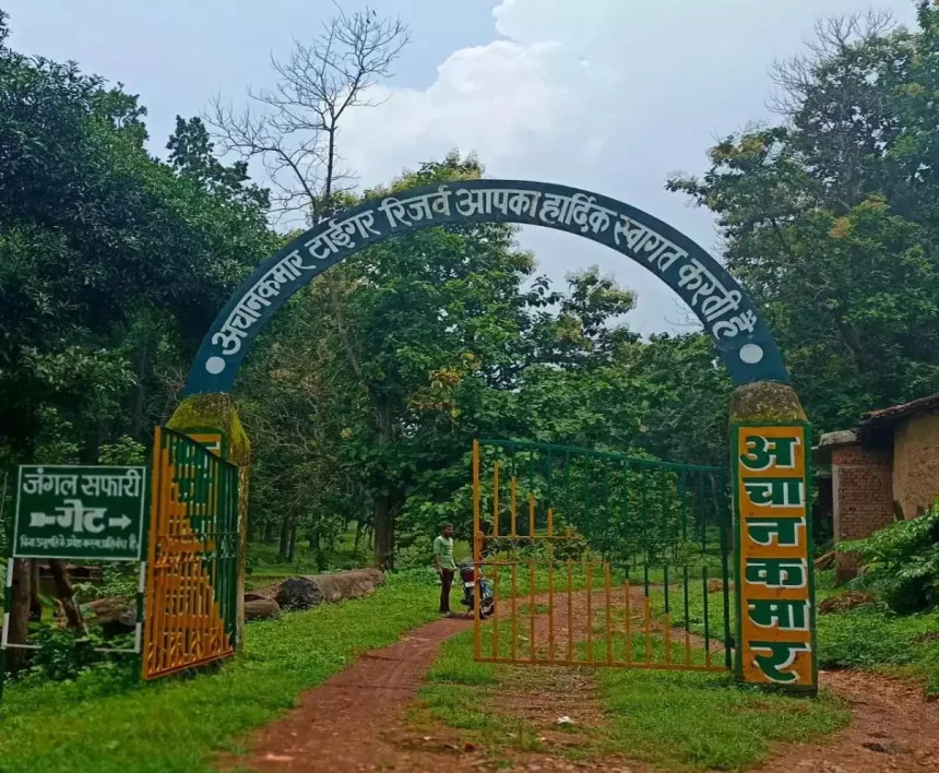 4788770 Untitled 70 Copy.webp.webp