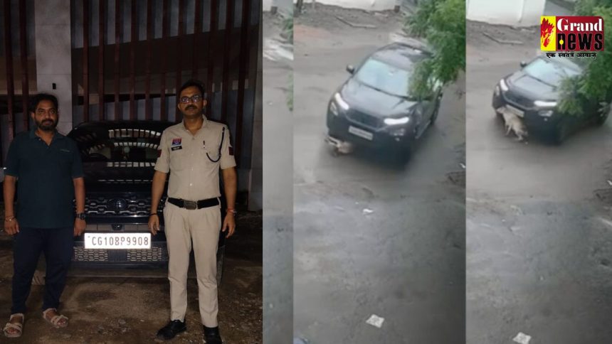 Jagesh Portel 1 8.jpg