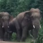 Screenshot 20250731 125835 Samsung Internet