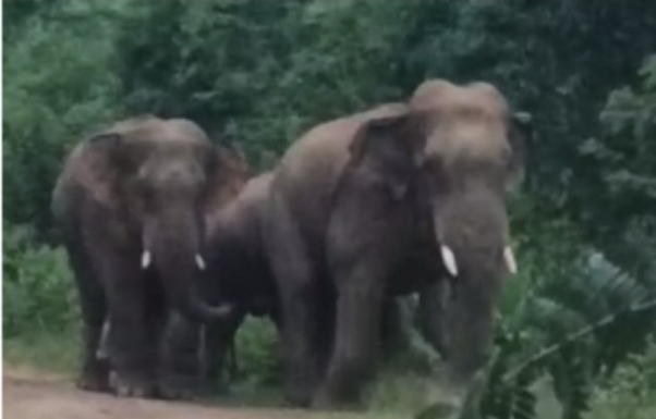 Screenshot 20250731 125835 Samsung Internet