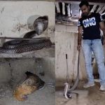 Whatsapp Image 2025 07 02 At 5.47.57 Pm 2.jpeg