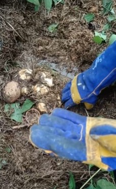 Whatsapp Image 2025 07 02 At 9.43.22 Pm.jpeg