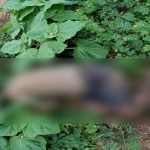 Whatsapp Image 2025 07 12 At 5.44.32 Pm.jpg