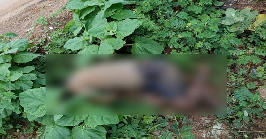 Whatsapp Image 2025 07 12 At 5.44.32 Pm.jpg