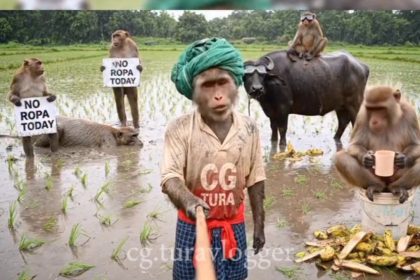 Whatsapp Image 2025 07 15 At 5.02.03 Pm.jpeg