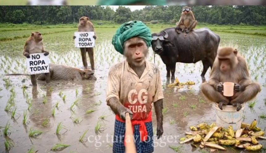 Whatsapp Image 2025 07 15 At 5.02.03 Pm.jpeg