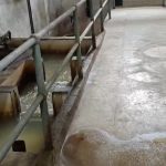 Whatsapp Image 2025 07 17 At 8.36.30 Am.jpeg