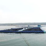 Whatsapp Image 2025 07 21 At 6.02.26 Pm.jpeg