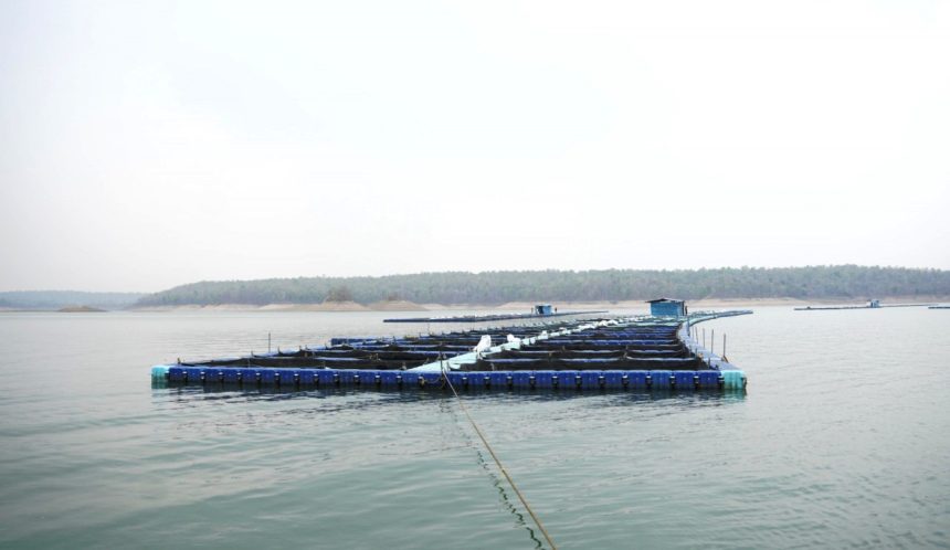 Whatsapp Image 2025 07 21 At 6.02.26 Pm.jpeg