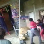 Whatsapp Image 2025 07 24 At 11.32.09 Am.jpeg