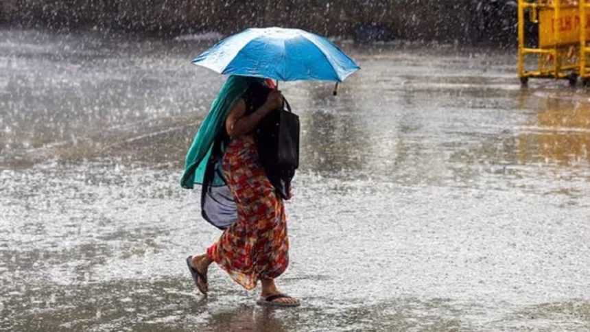 Rain 4.jpg