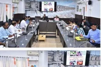 4788708 Untitled 53 Copy.webp.webp