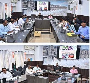 4788708 Untitled 53 Copy.webp.webp