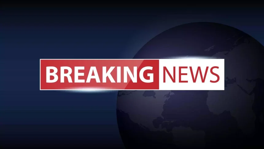 4790624 Untitled 8 Copy.webp.webp