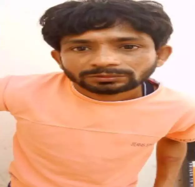 4790914 Untitled 22 Copy.webp.webp