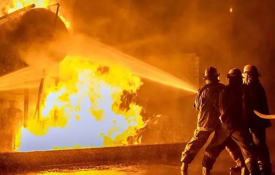 4793196 1 Copy.webp.webp