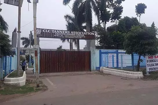 4793206 1 Copy.webp.webp